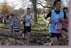 Begles 15.12.13 01 563 * 679 x 453 * (192KB)